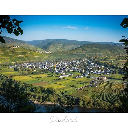 Ferienweingut Luetz Apartment