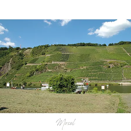 Ferienweingut Luetz * Punderich