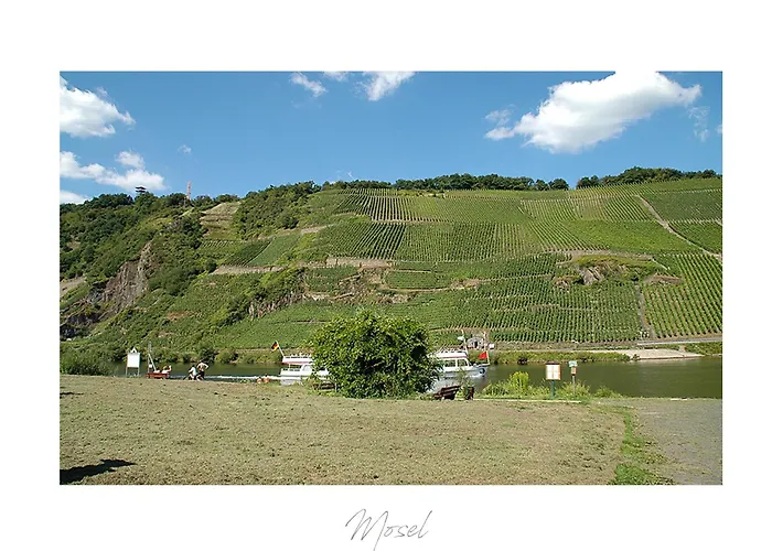 Ferienweingut Lütz * Pünderich